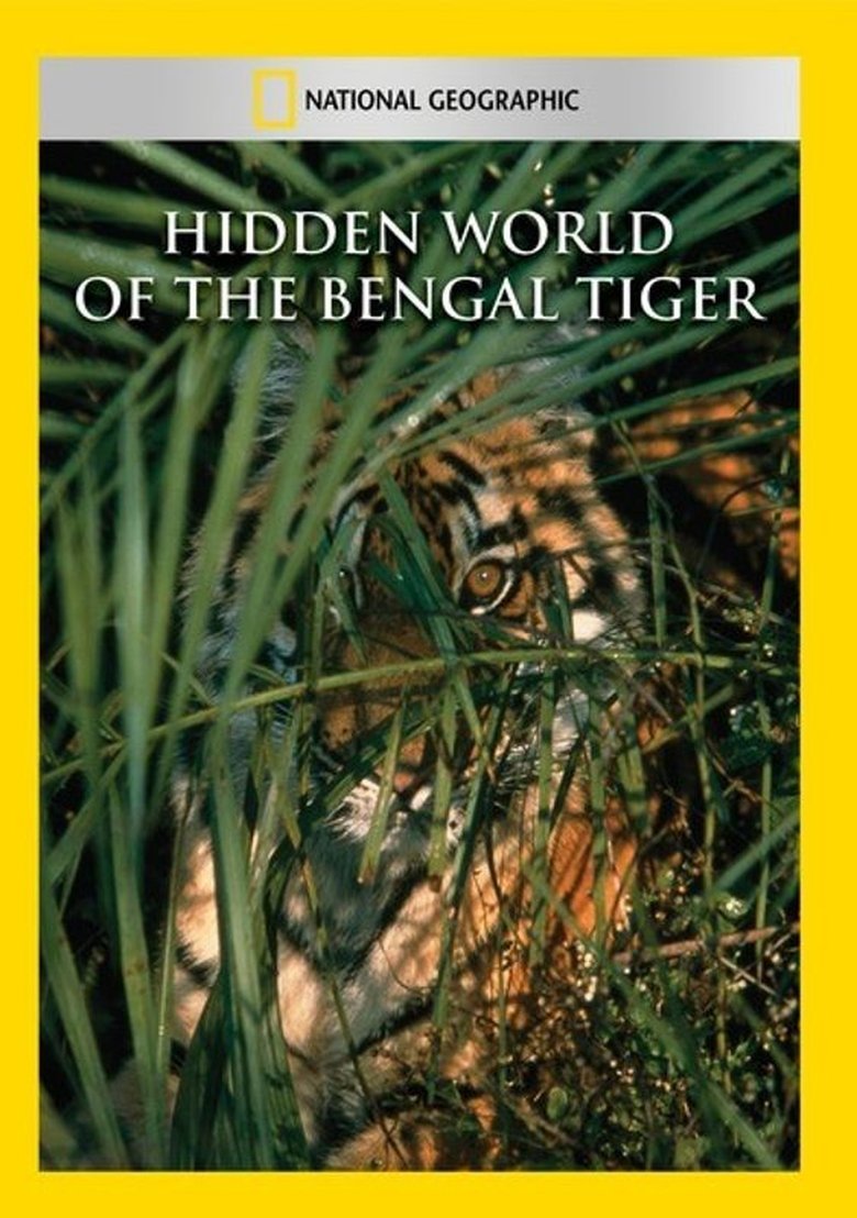 Hidden World of the Bengal Tiger main poster