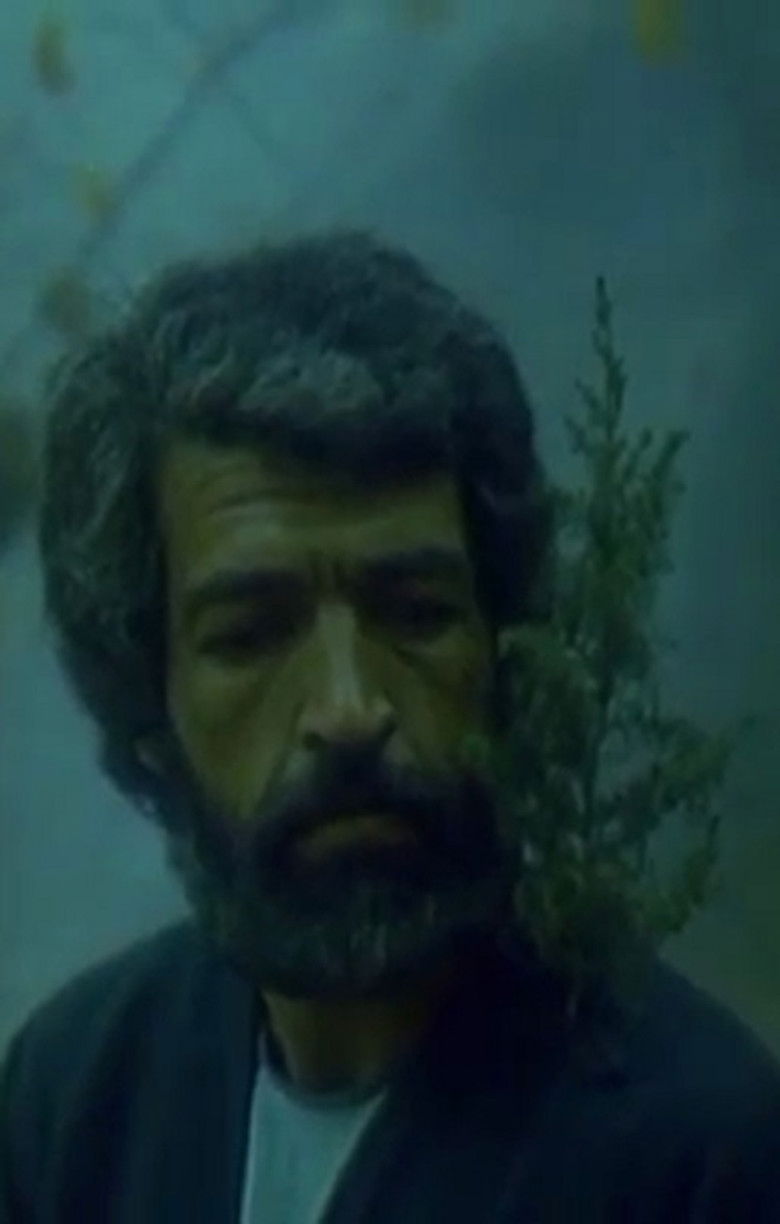 Imatge de Archaly Adam