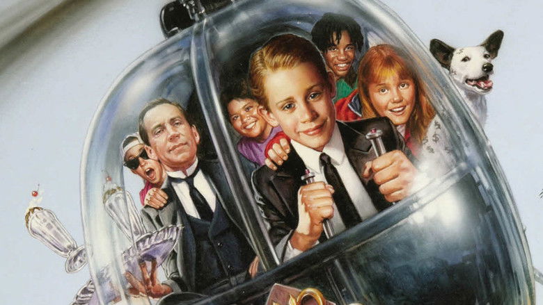 Backdrop de Nen ric - Col·lecció