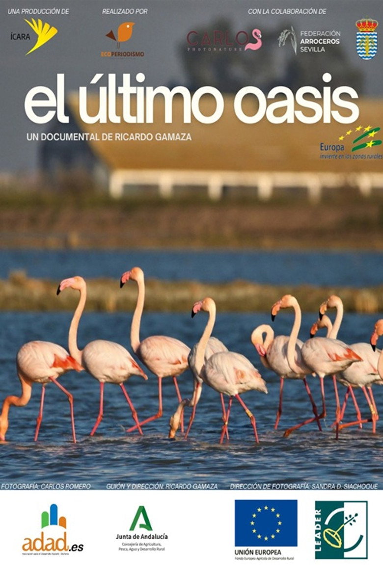 Imatge de El último oasis