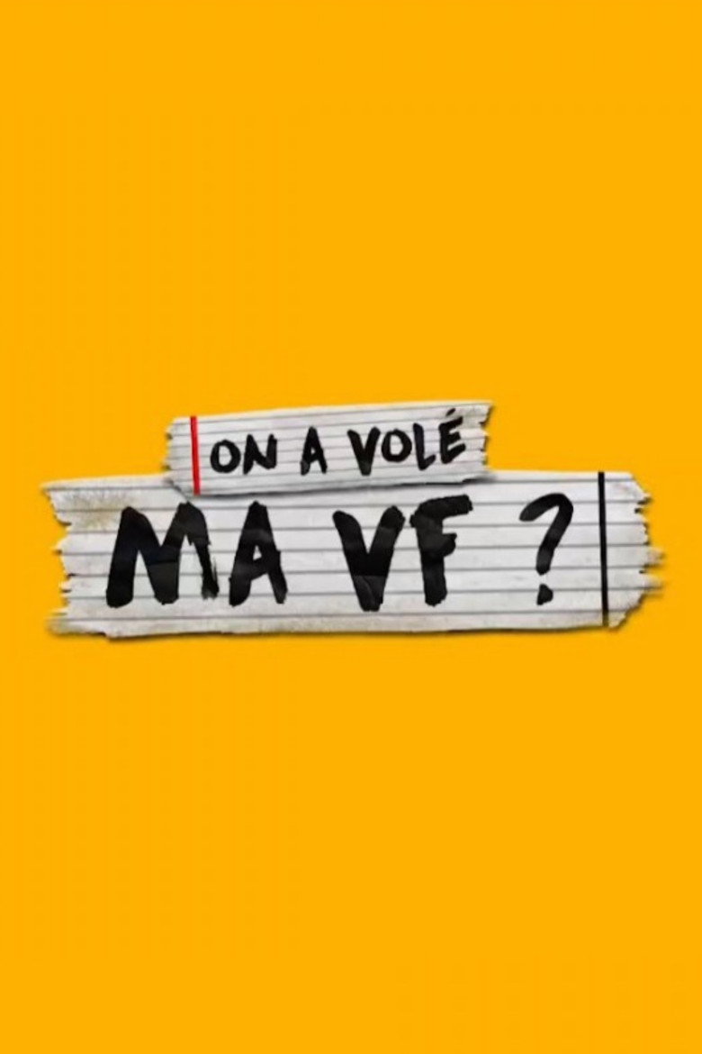 Affiche de On a volé ma VF