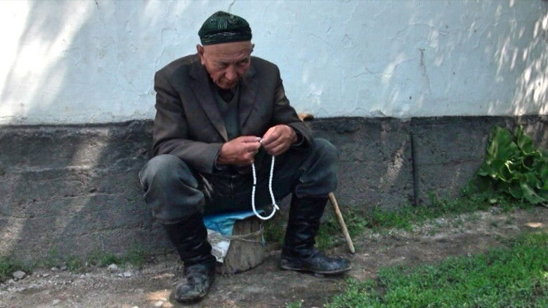 Gallery image from biCUOsu0PsIMrjT7VZJ2chMnbe3.jpg