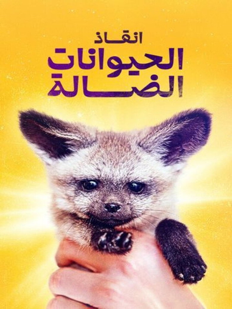 Rescue stray animals background