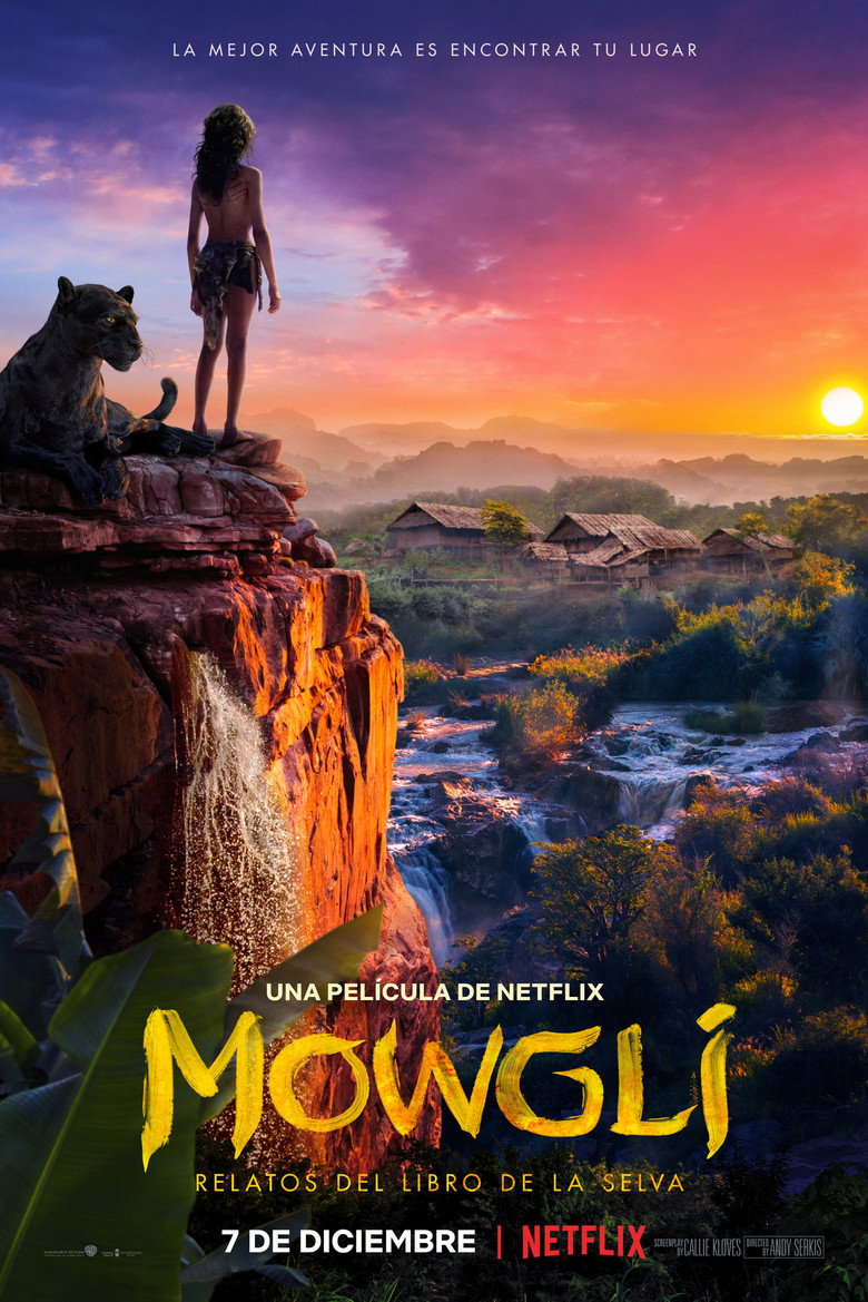 Póster la Película