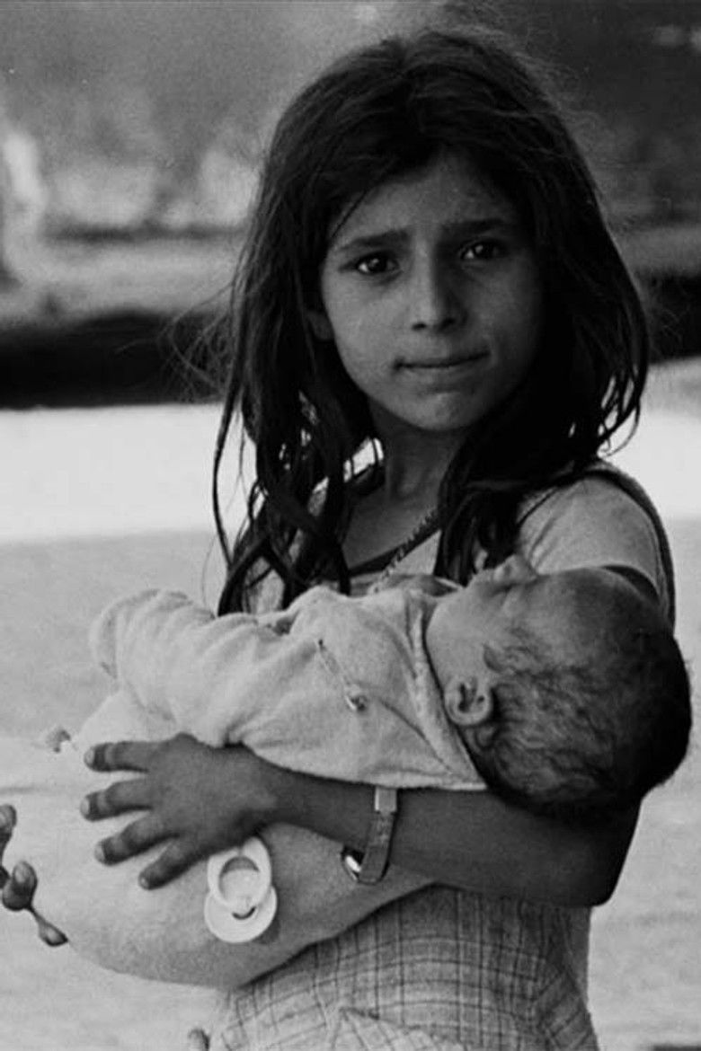 Imatge de Schoolyard: An Untold Story