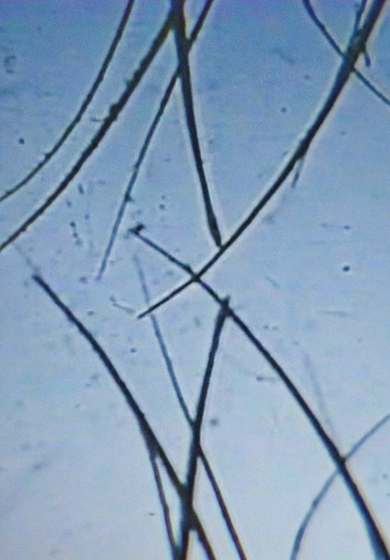 Imatge de タイムスリット