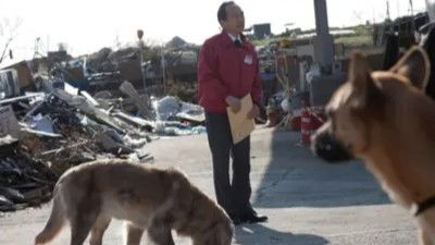 Still image for 犬飼さんちの犬 season 1 episode 4: Episode 4