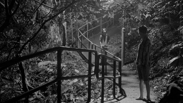 Queerpanorama (2025)