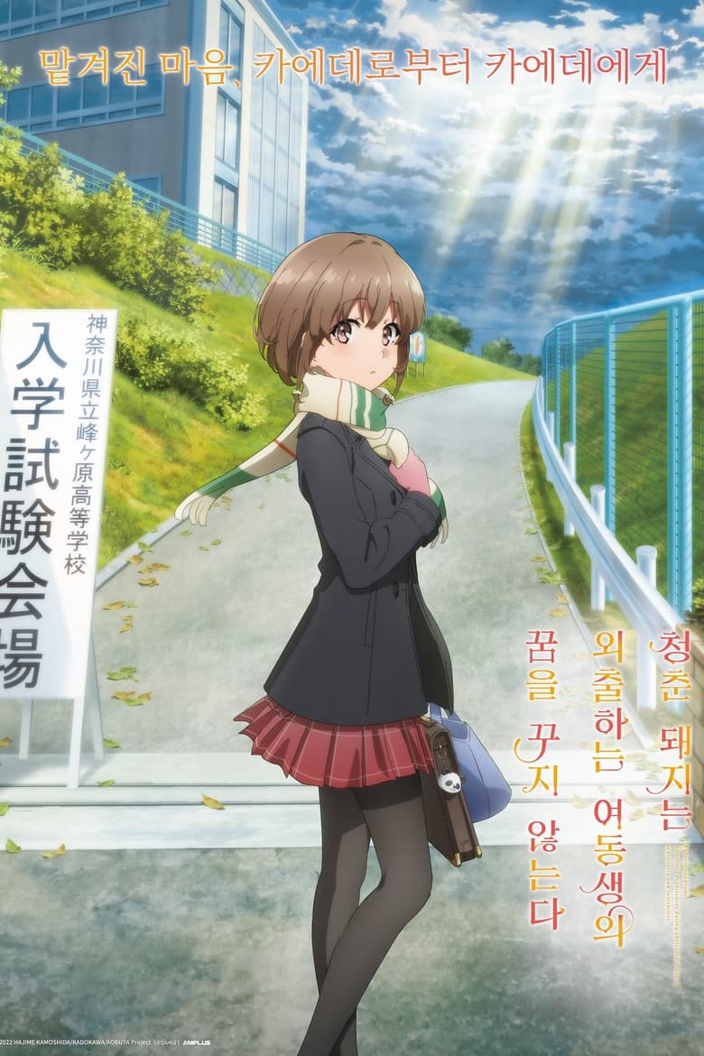 청춘 돼지는 외출하는 여동생의 꿈을 꾸지 않는다(青春ブタ野郎はおでかけシスターの夢を見ない) poster