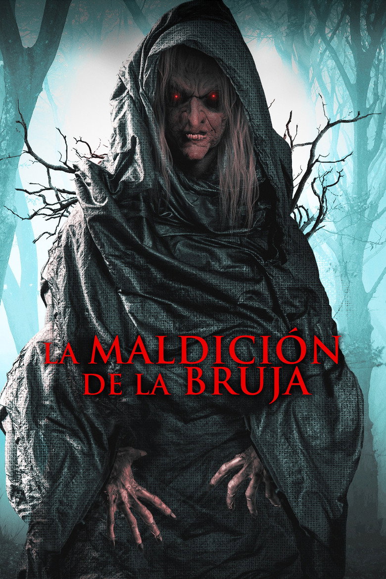 Póster la Película