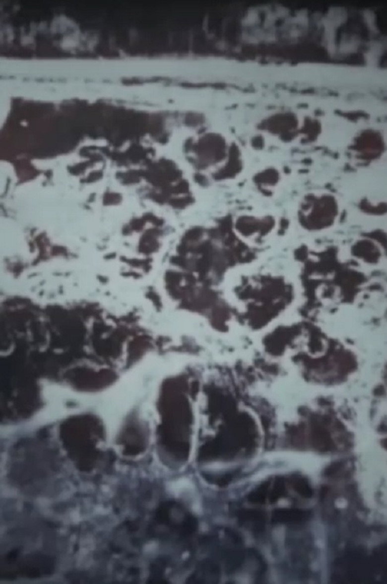 Imatge de Crossing Brooklyn Ferry