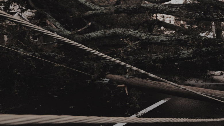 Gallery image from bmWRMyz0Wbj2pnuUCyfuNVbzvt0.jpg