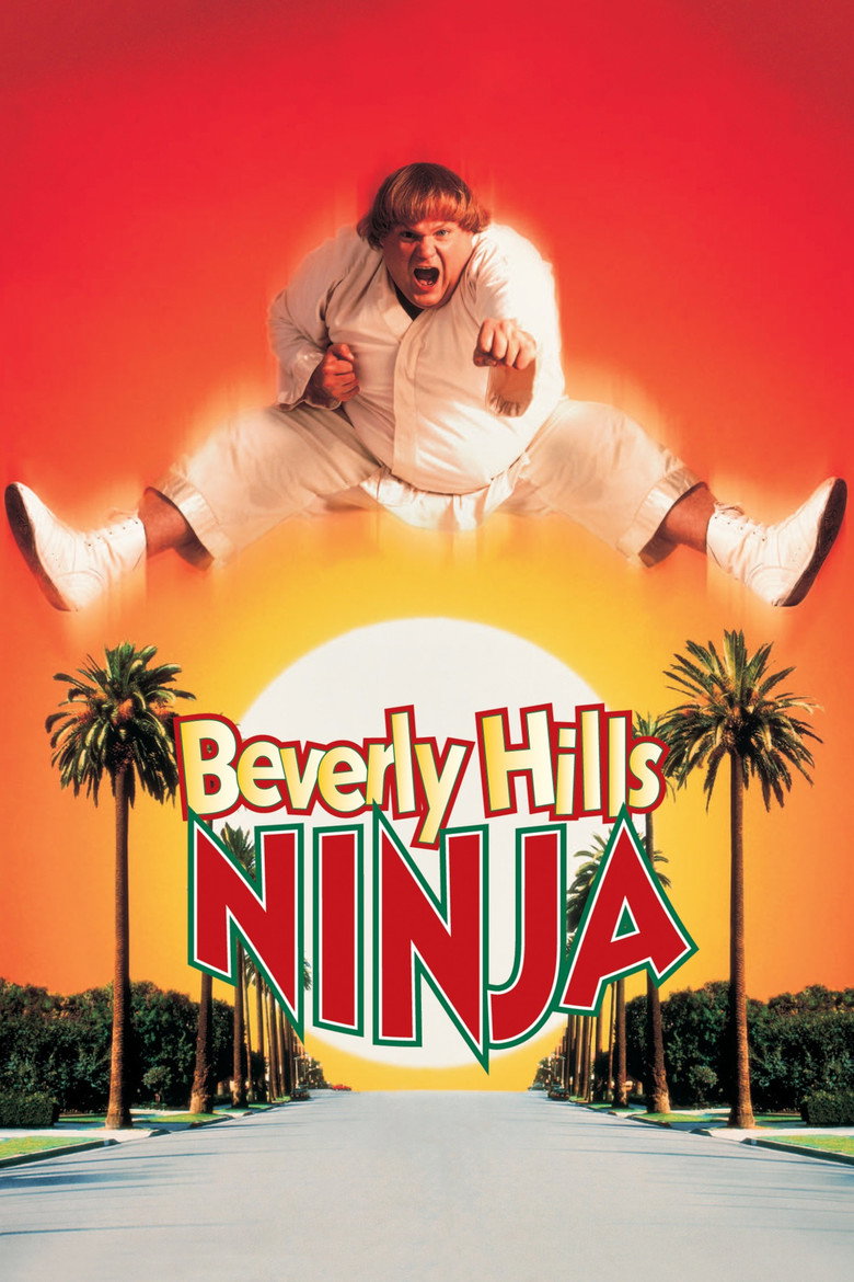 Póster la Película