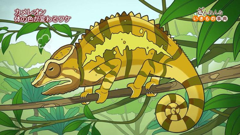 Still image for Encyclopedia of Pitiful Creatures season 1 episode 28: Episode 28