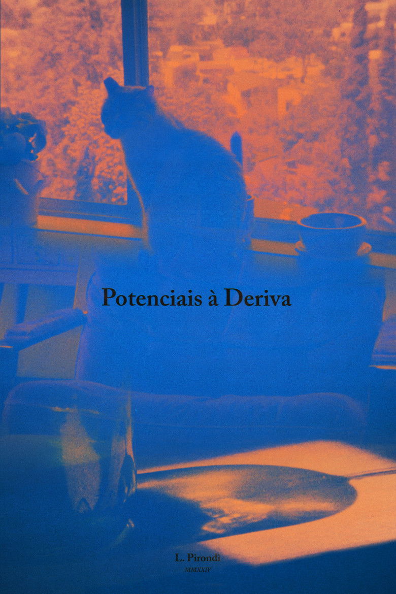 Imatge de Potenciais à Deriva