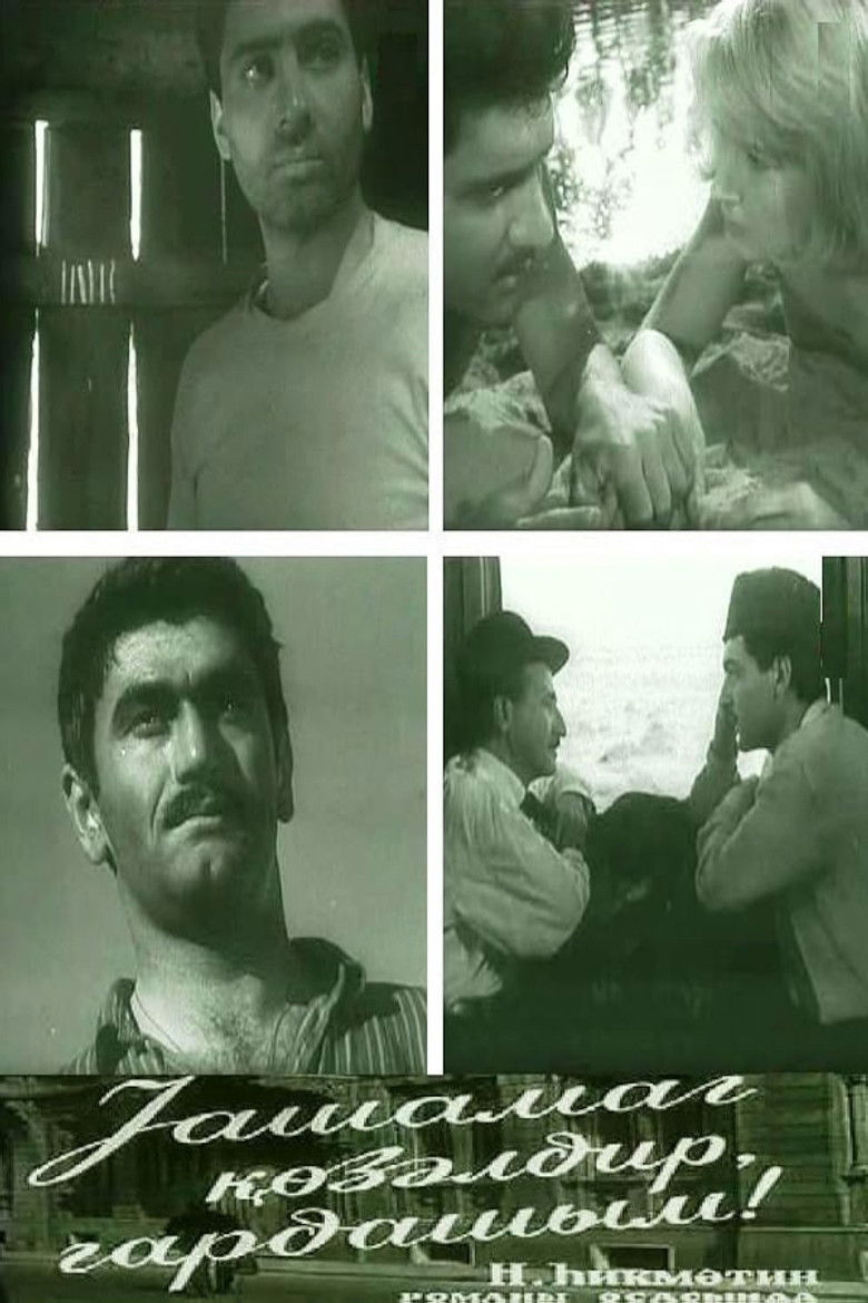 The Life is Beautiful, Brother!