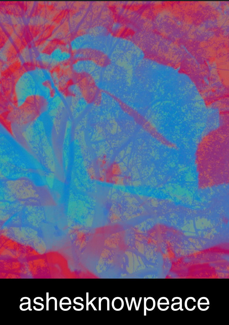 Imatge de ashesknowpeace