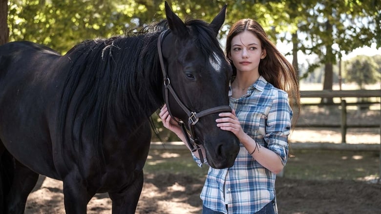 Black Beauty  pelicula online completa