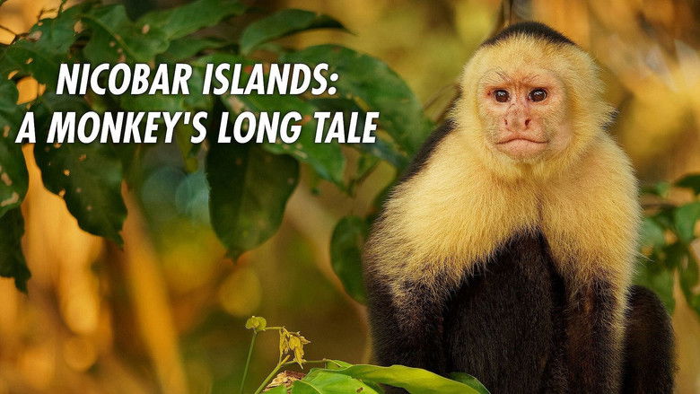 Imatge de Nicobar Islands: A Monkey's Long Tale
