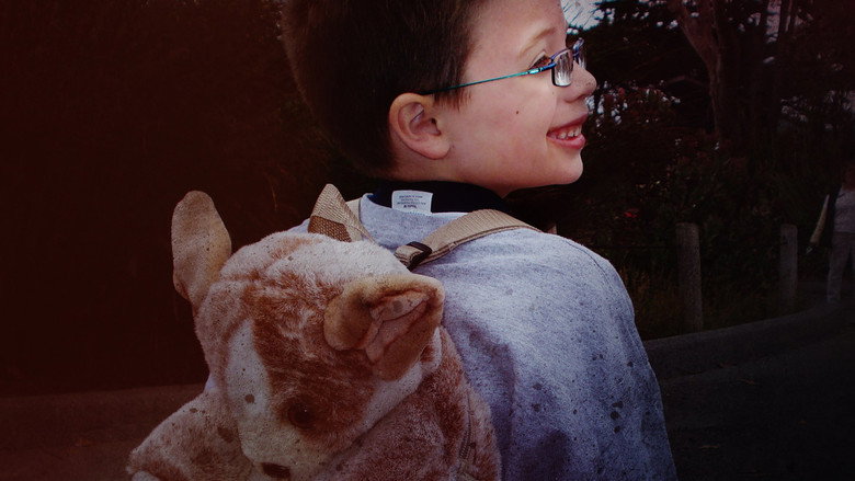 Imatge de Little Boy Lost: An ID Mystery