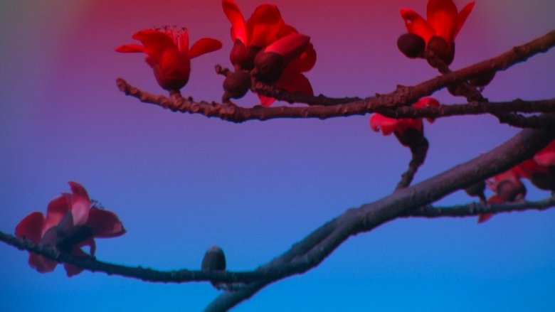 Gallery image from bpXB9oDHXy0euKlLRF4i2SqJ0dh.jpg