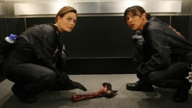 Bones: 4×6