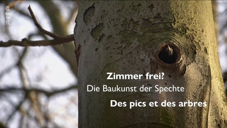 Gallery image from bqRsokphy4i9ADb5dV94YiyUFCb.jpg