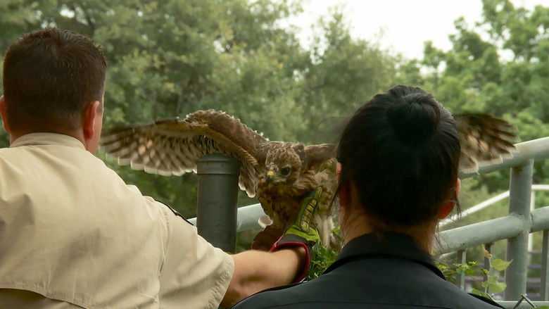 Still image for Lone Star Law season 1 episode 10: Out For Blood