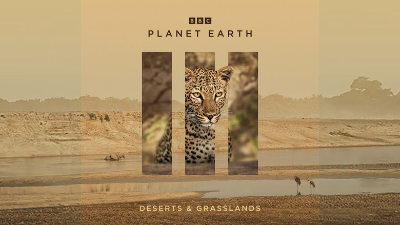Still from Planet Earth III - シーズン 1 エピソード 3