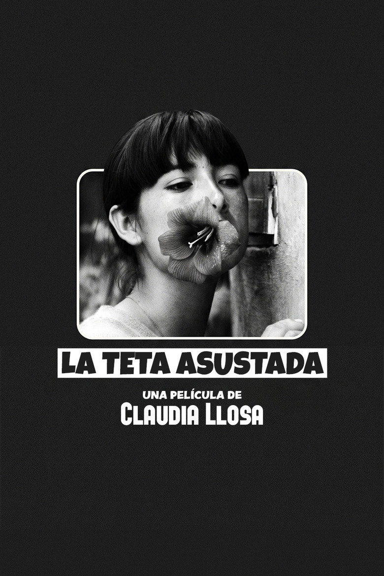Póster la Película