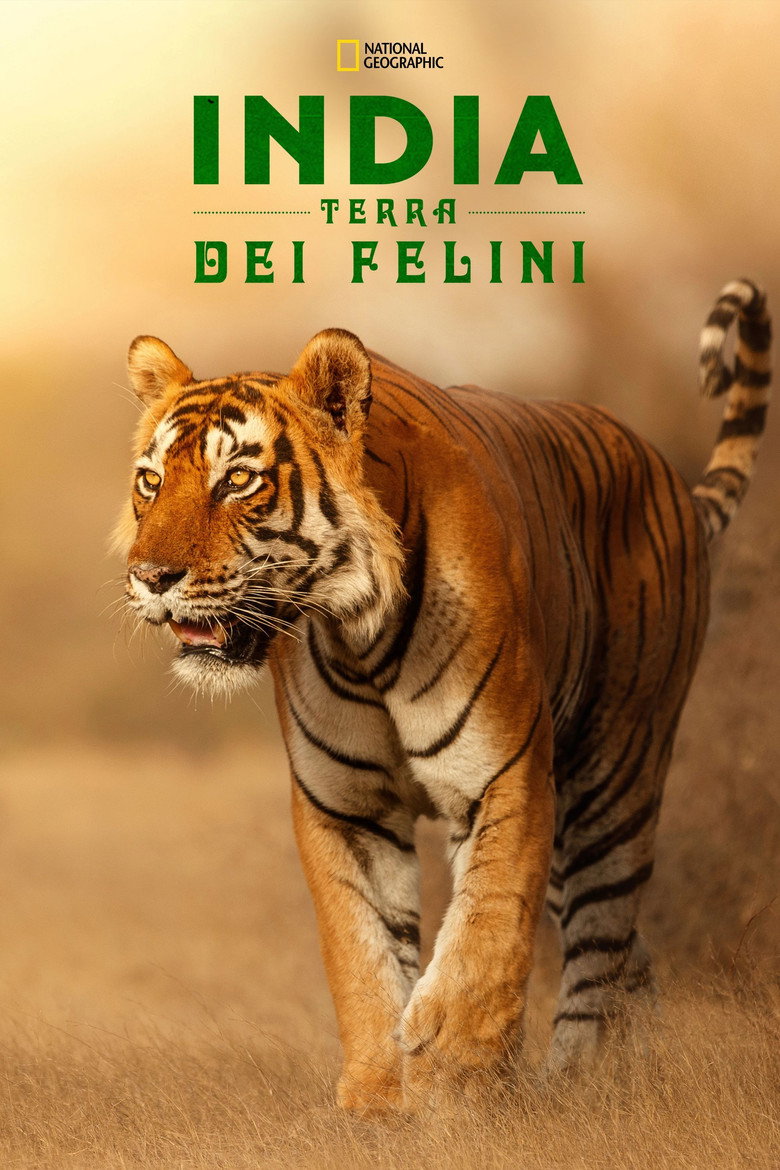 India Terra Dei Felini