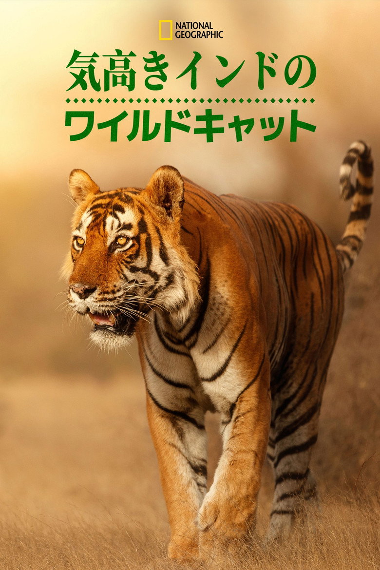 Wild Cats of India