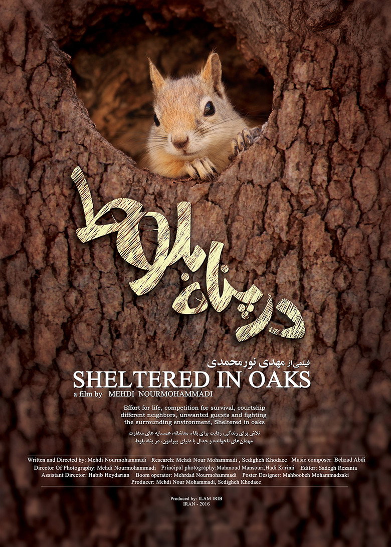 Sheltered in Oaks background