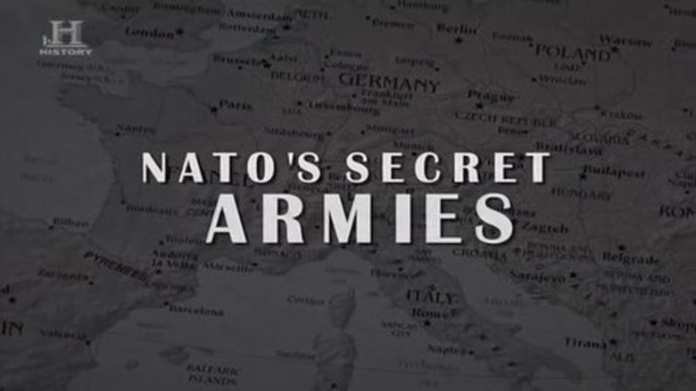 NATO's Secret Armies