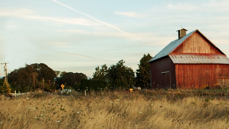 Farm Crime