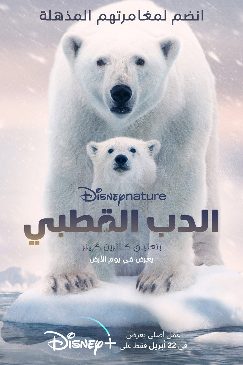 Polar Bear