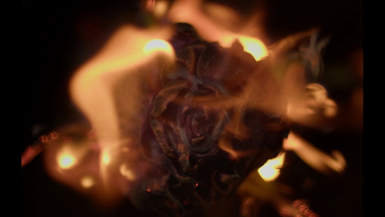 Still from As I Burn