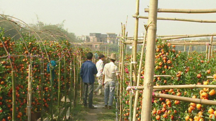 Still image for News Treasury season 1 episode 150: Episode 150