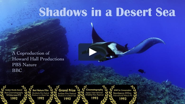 Shadows in a Desert Sea movie poster