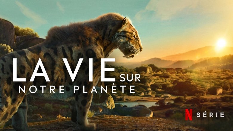 Gallery image from bvYIEp9qxbN89UU6kbqXcSDjN3e.jpg