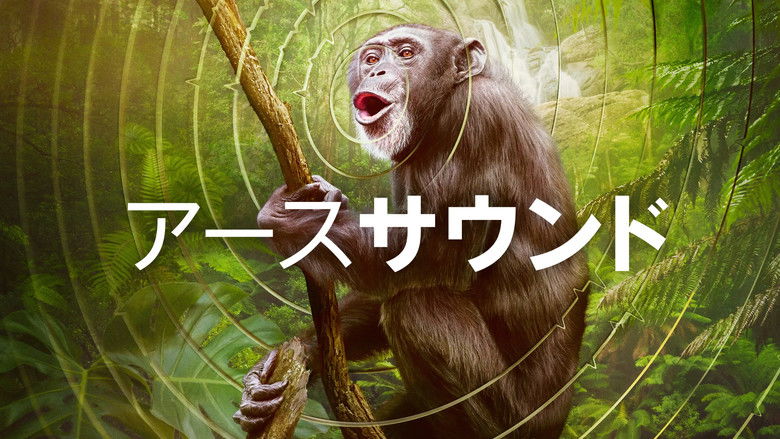 Gallery image from bvdcunUFzUTQSTHAEWCyPlSW1z7.jpg