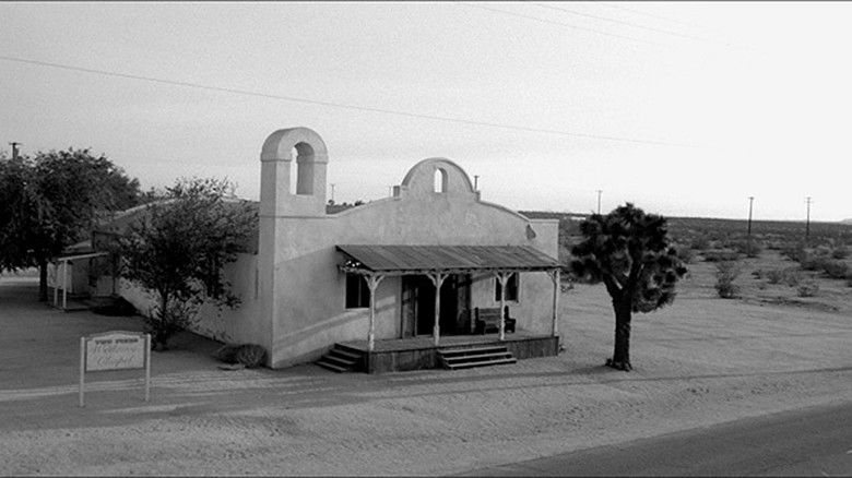 Bvixxsjfqzb7vexokf9jo9tzodw