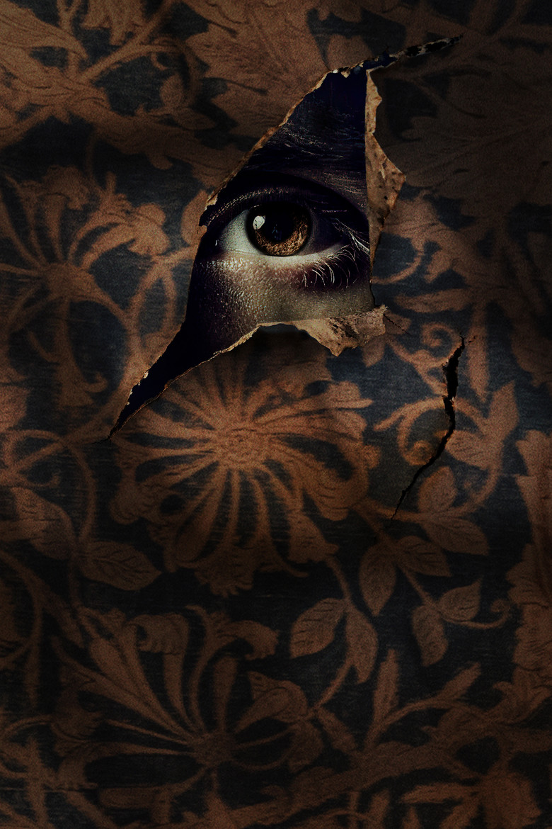 Imatge de Boy in the Walls