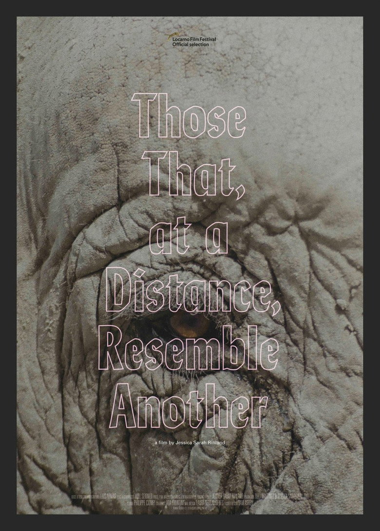 Imatge de Those That, at a Distance, Resemble Another