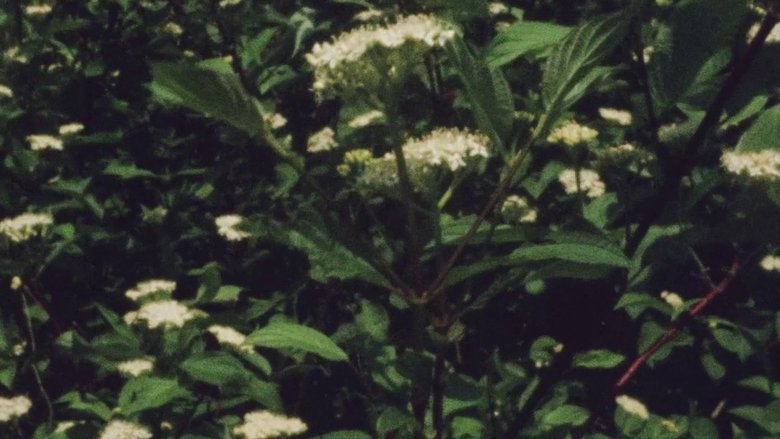 Gallery image from bwKK1OY4vCmm3sF7qTciGDZq197.jpg