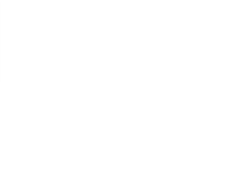 Imagen de Furia ciega
