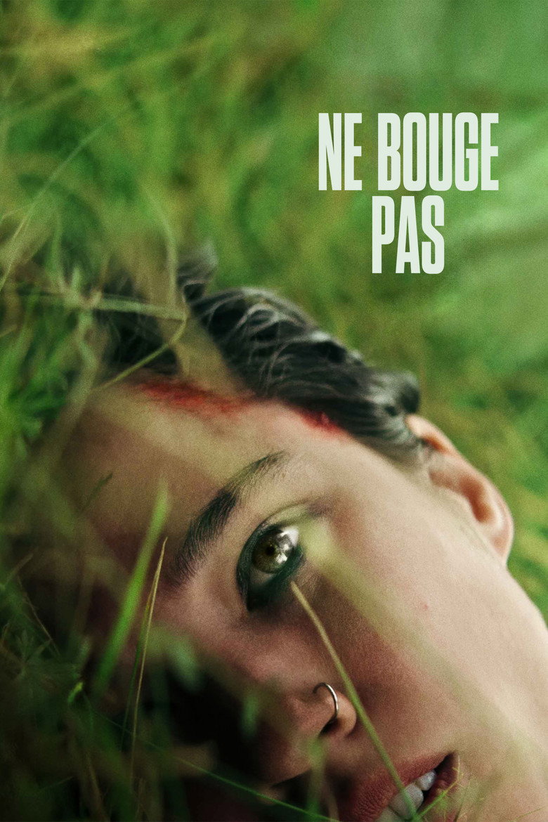 Póster la Película