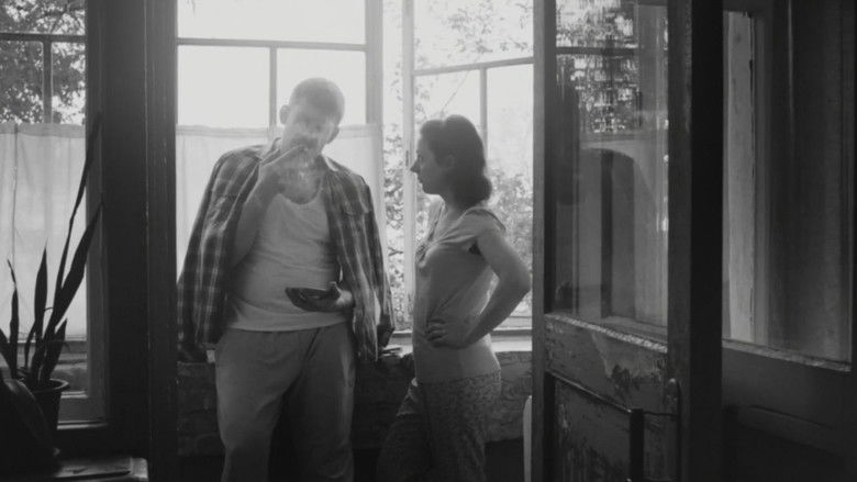 Gallery image from bxYzL3XStvkTpY2rJwtOjMkaeu9.jpg