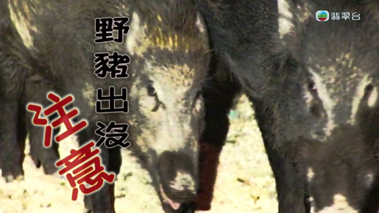 Still image for News Treasury season 1 episode 251: Episode 251