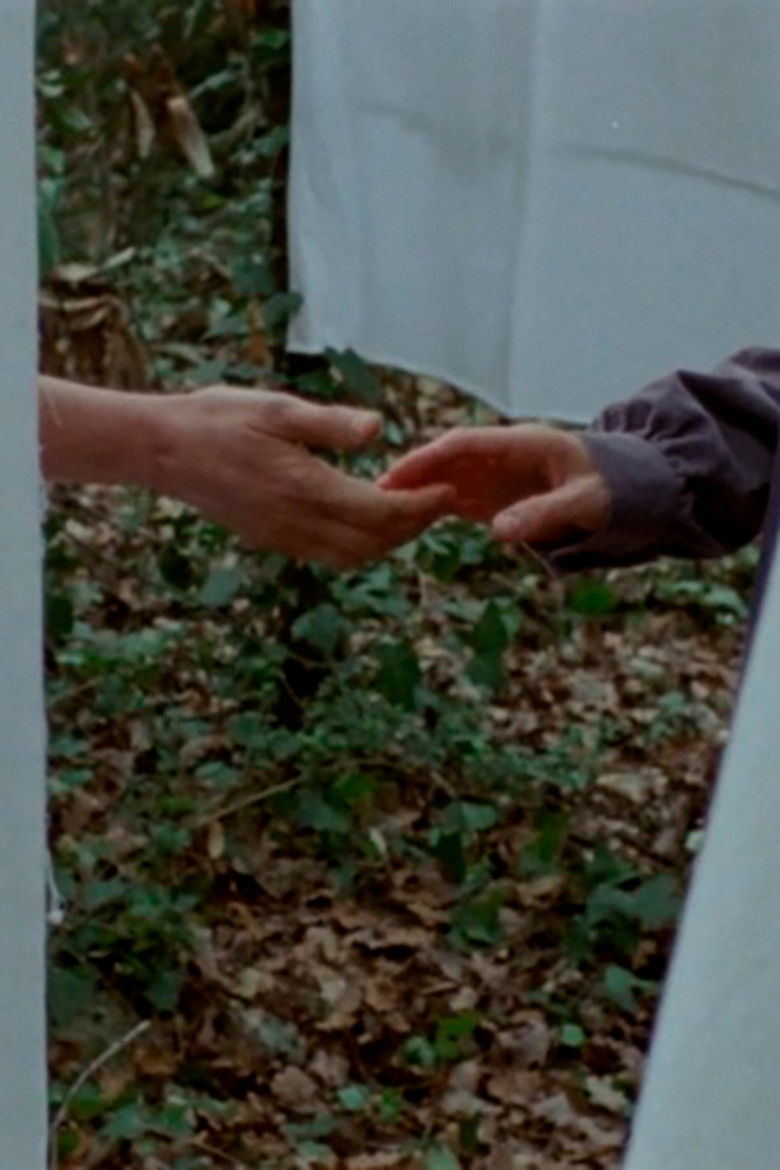 Imatge de Si pogués sostenir-me com ho fan els arbres